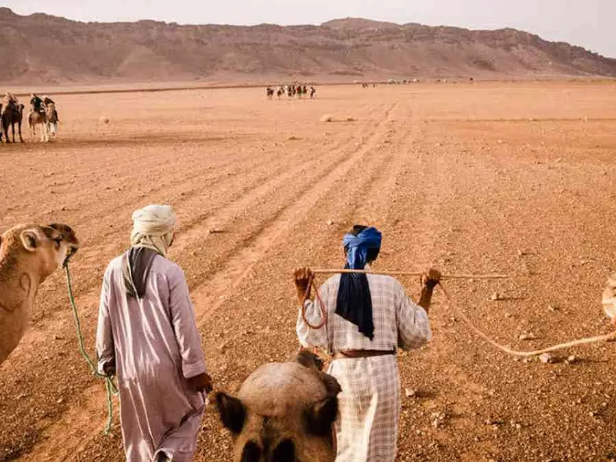 1. Three men walk alongside camels in a vast desert landscape under a clear blue sky on a 2 Days Desert Tour From Marrakech to Zagora