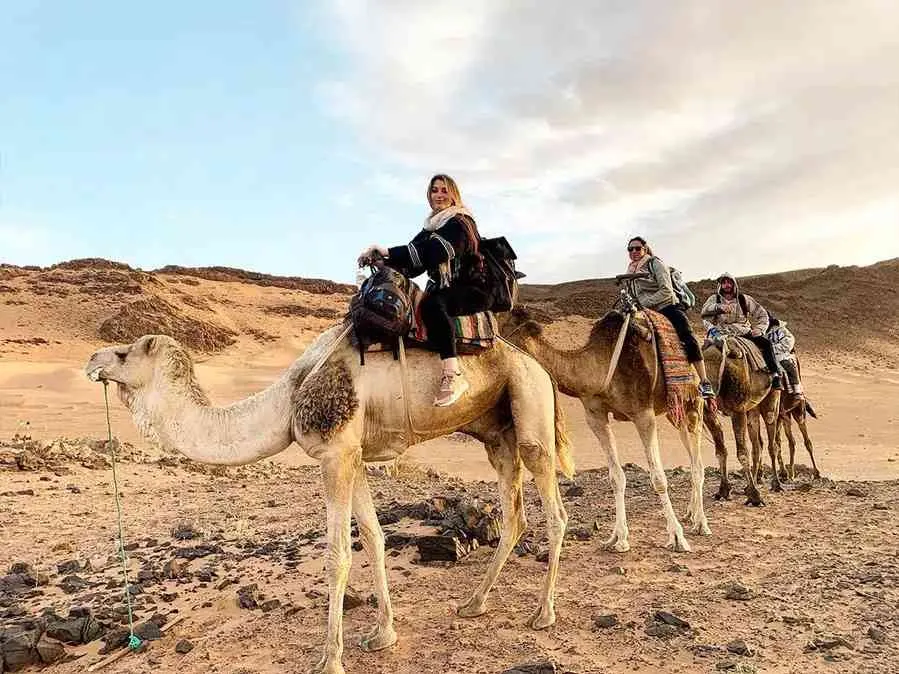 1. A group of people riding camels across a vast desert landscape under a clear blue sky on this 2 Days Desert Tour From Marrakech to Zagora