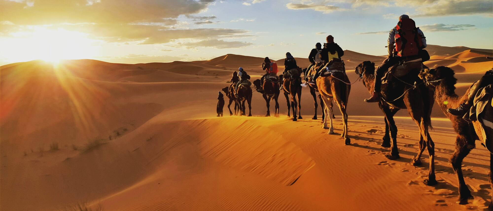 Marrakech Tours: Explore Morocco in Style with Our Agency Moroccan Travel agency