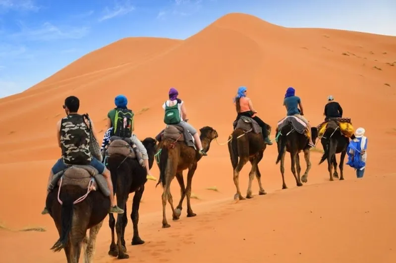 A diverse group of individuals riding camels across a vast, sandy desert landscape under a clear blue sky.While Moroccan Travel Agency 