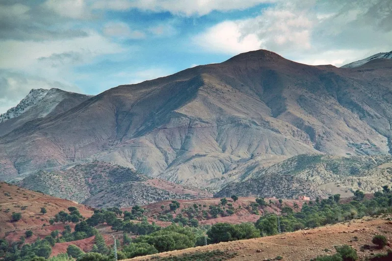 A scenic mountain range under a clear blue sky, adorned with a few scattered trees in the foreground.while atlas mountains tours