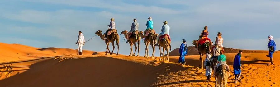 A diverse group of individuals riding camels across a vast, sandy desert landscape under a clear blue sky.While luxury desert tours