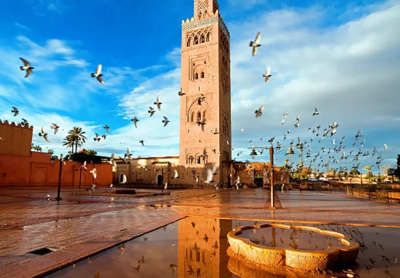  A large clock tower stands tall, surrounded by various birds flying gracefully in the clear sky.Marrakesh Tours.