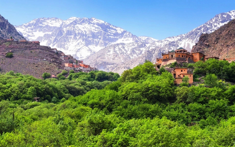 Lush green trees blanket the mountains, creating a vibrant and serene natural landscape under a clear blue sky.While Morocco trip package 