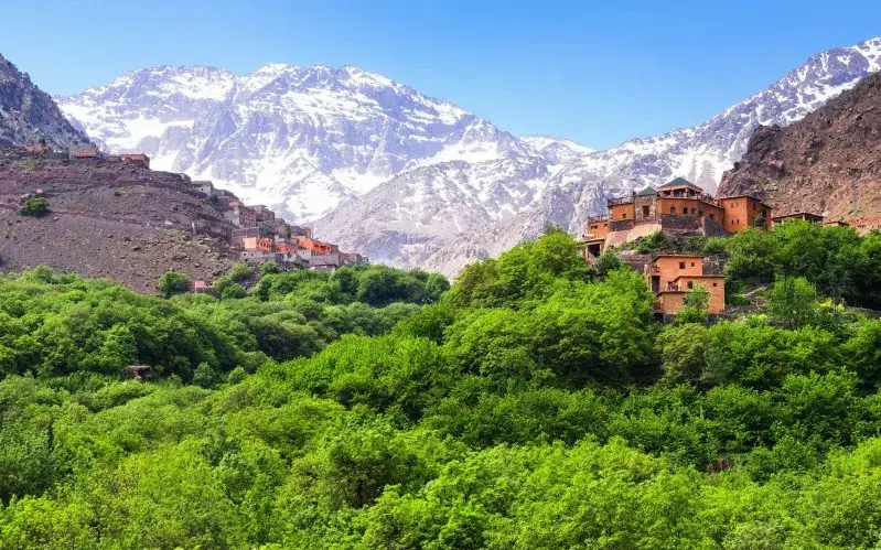 Lush green trees blanket the mountains, creating a vibrant and serene natural landscape under a clear blue sky at day tours from Marrakech