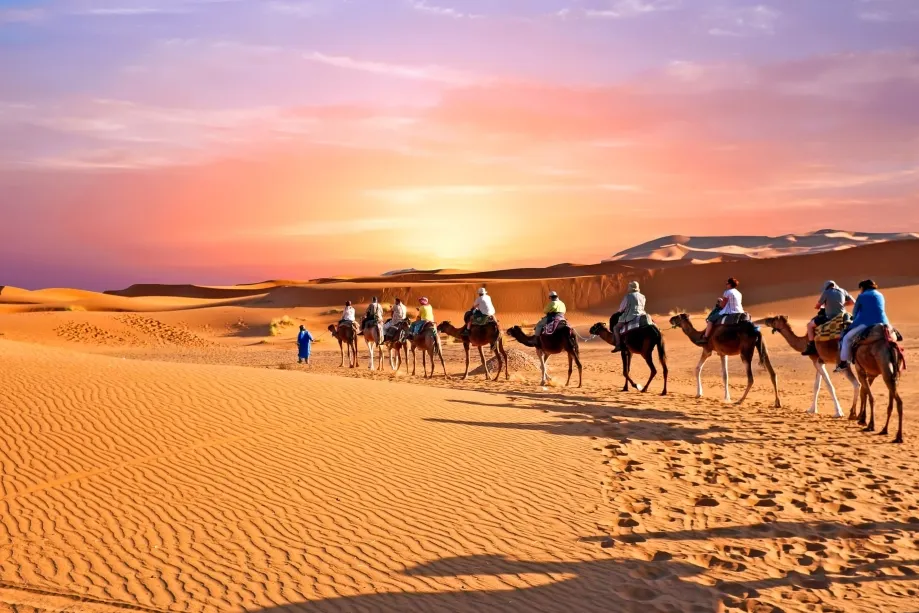 Several people mounted on camels traverse the expansive desert, surrounded by golden sand dunes and bright sunlight.While Morocco trip package