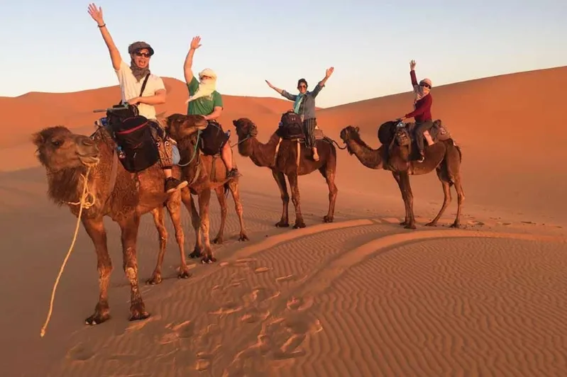 Four individuals on camels in the desert trip in Morocco, raising their hands in celebration against a backdrop of sand dunes. desert tours in Morocco