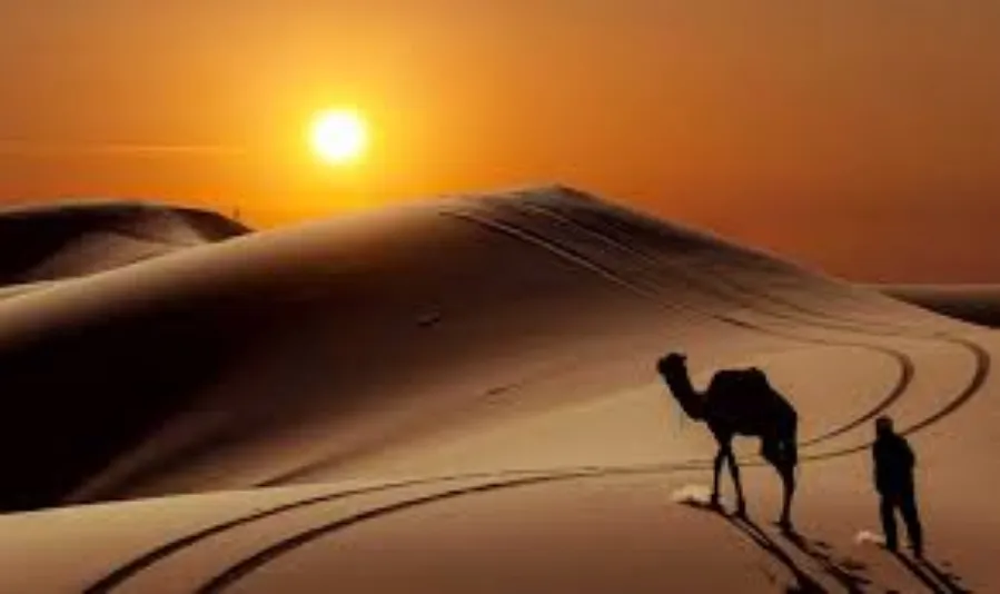 An expansive view of the world's largest desert, showcasing endless sand dunes and a bright, cloudless sky.While Morocco desert tour