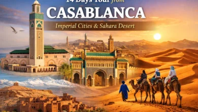 14 Days Tour from Casablanca Imperial Cities & Sahara Desert