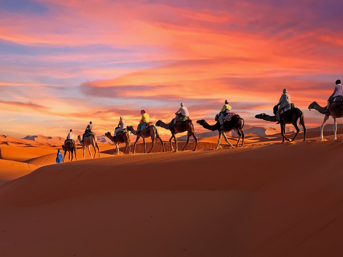 3 days tour from marrakech to merzouga desert landscape with golden dunes and camel caravan