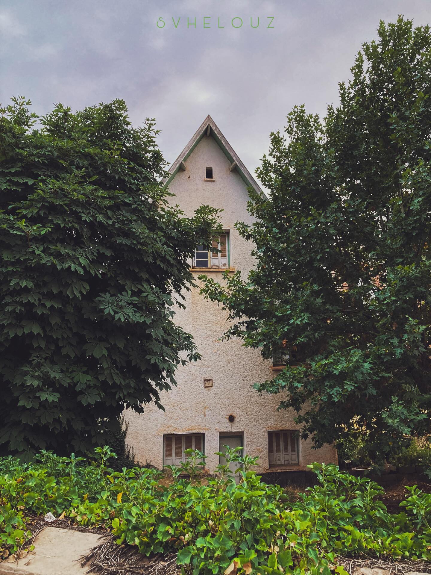 Ifrane — la Suiza de Marruecos en el circuito de 5 días desde Casablanca