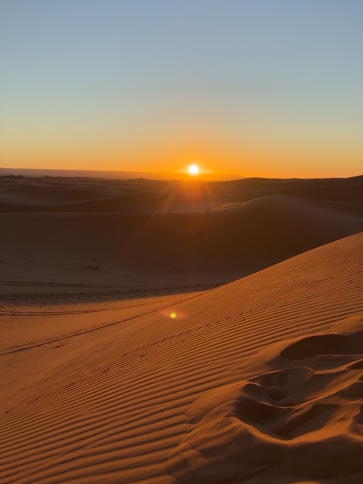 Caravane de chameaux à l'heure dorée sur les dunes d'Erg Chebbi — désert de Merzouga, circuit 14 jours depuis Casablanca