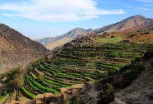 Tizi Oussem Day Trip