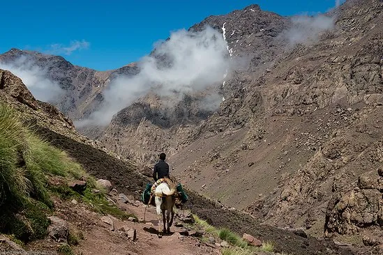 A man riding a horse walks along a mountain trail, surrounded by scenic views of rugged terrain and greenery Tizi Oussem Day Trip