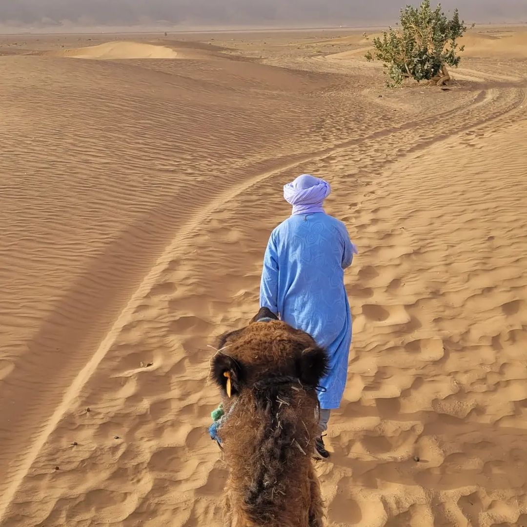 2 days tour from marrakech to zagora - Tips for a Succeful 2-Day Tour