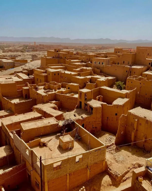 Palmeraies de Zagora, promenade matinale