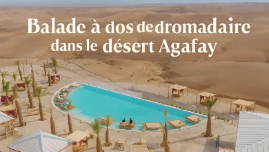 Balade À Dos De Dromadaire Dans Le Désert Agafay