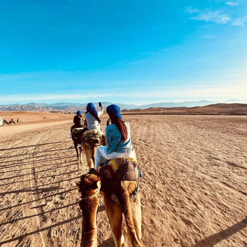 Camel Ride and Dinner Agafay Desert