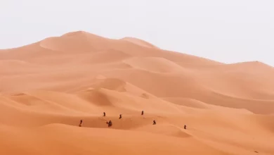 Discover Magical Desert