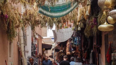 Excursion Aux Souks De Marrakech