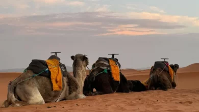 Luxury Morocco Desert Tour