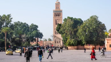 Circuit De 11 Jours Depuis Marrakech
