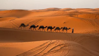 Marrakech à Merzouga