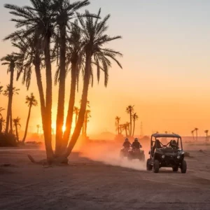 Quad Biking in the Palm Grove