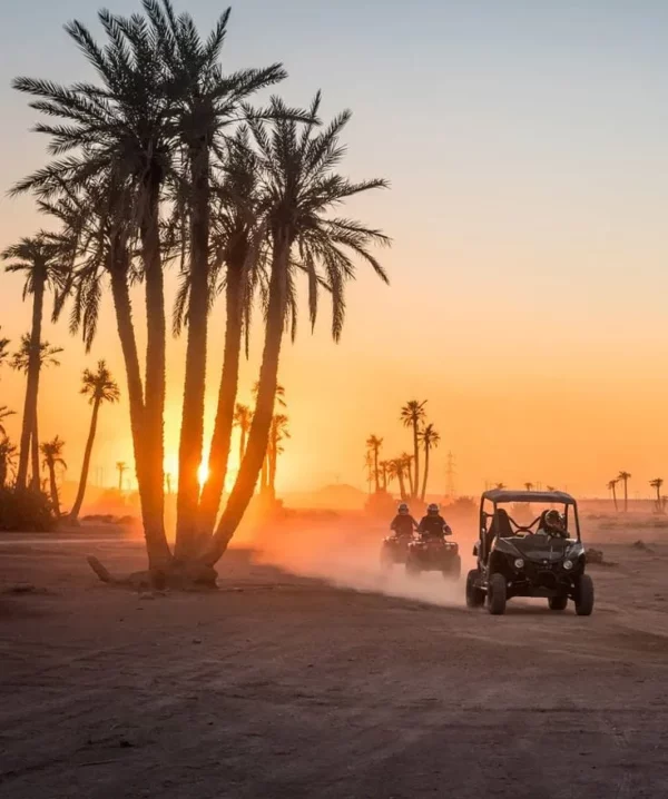 Quad Biking in the Palm Grove
