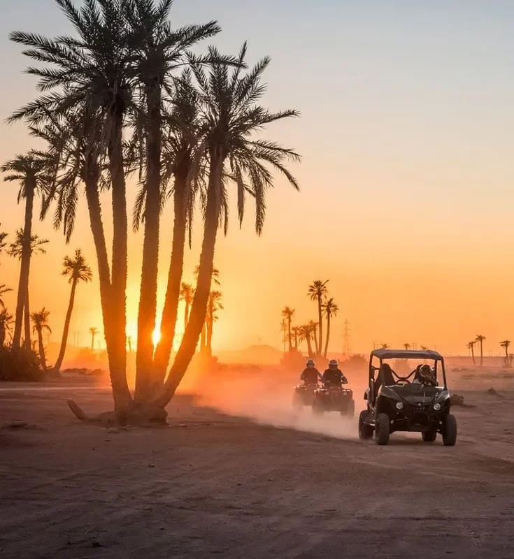 Quad Biking in the Palm Grove