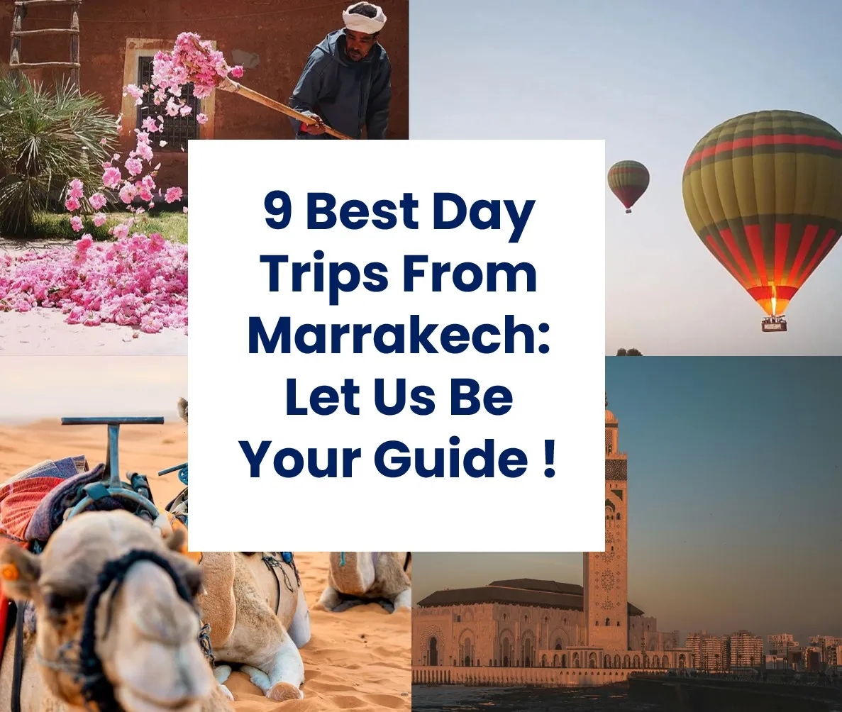 Best Day Trips From Marrakech
