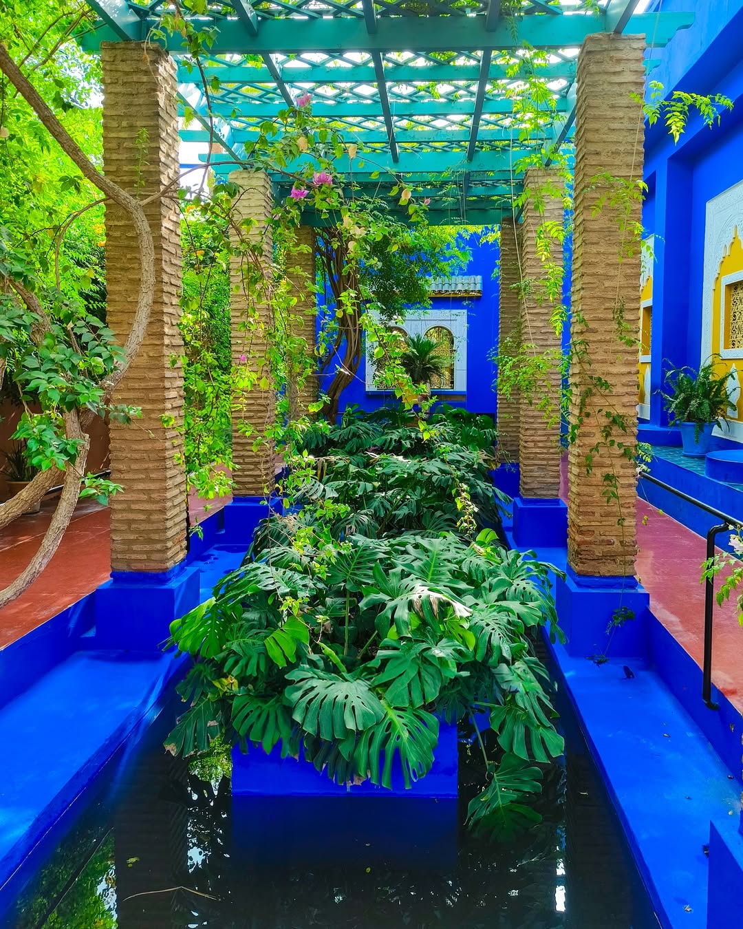Jardin Majorelle Marrakech - Vue 2