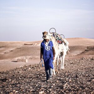 Camel Ride in Agafay