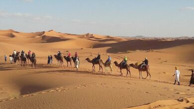 Desert tour Marrakech