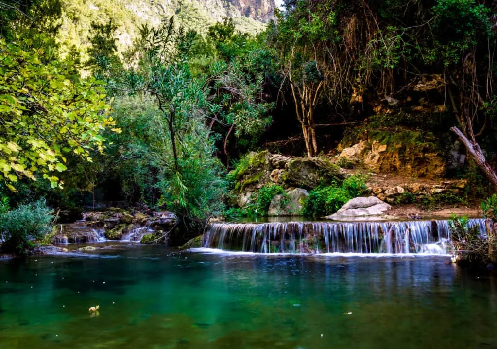 A stunning waterfall cascades through a lush green forest, surrounded by vibrant trees and natural beauty.