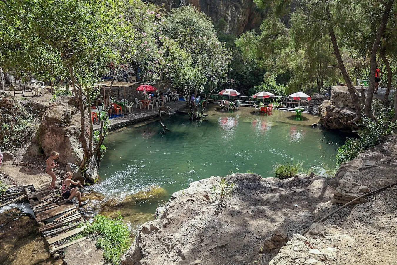 People are swimming in a small pool surrounded by trees in a serene woodland setting. Chefchaouen & Akchour Waterfalls Day Trip from Fes