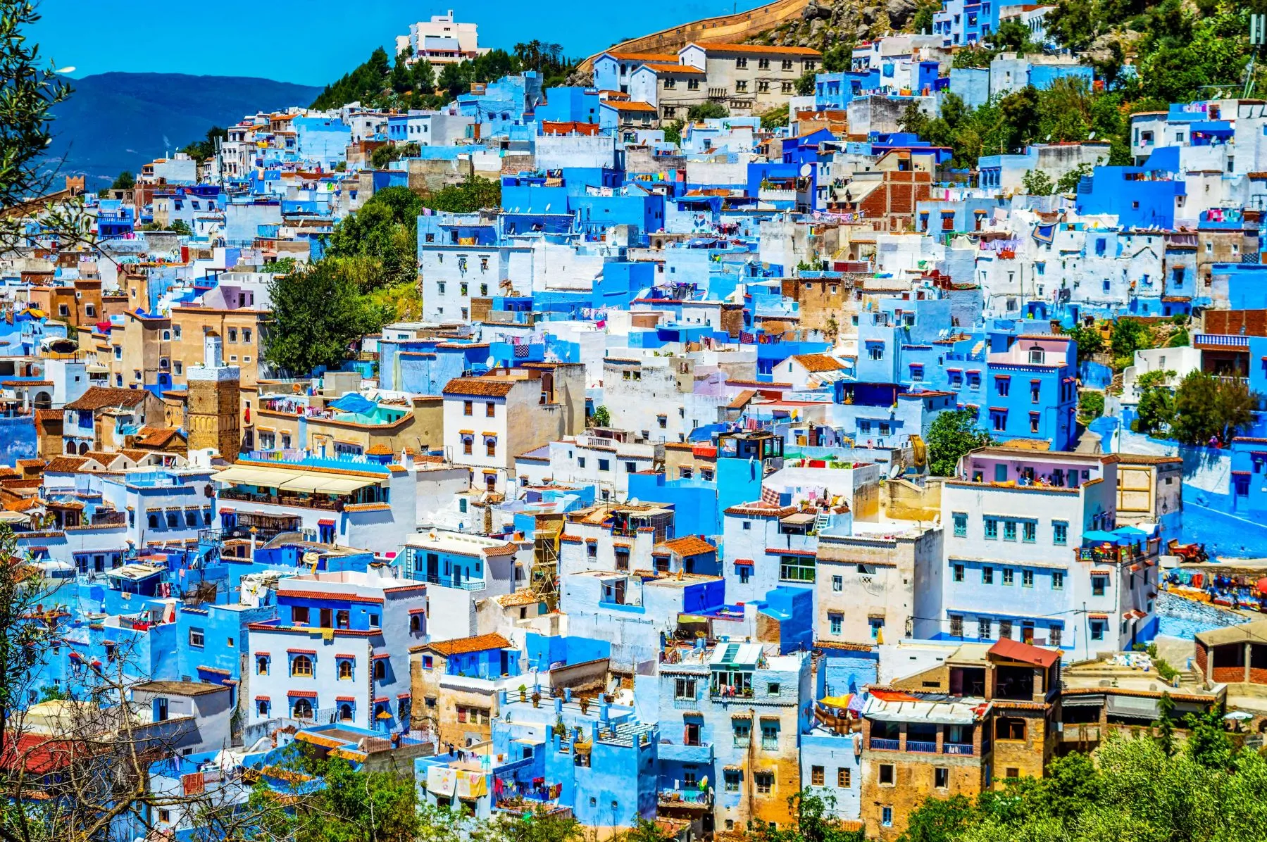 Famous blue houses on a hill in Morocco while your Chefchaouen & Akchour Waterfalls Day Trip from Fes