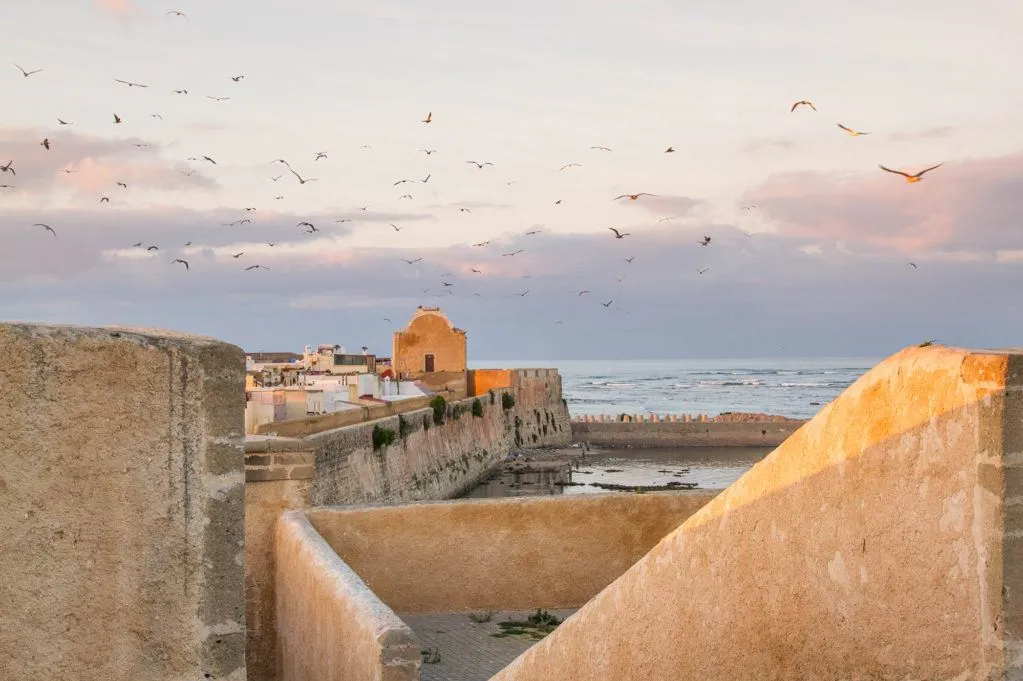 A scenic view of the sea with a wall in the foreground and a building visible in the background. A Day Trip to El Jadida