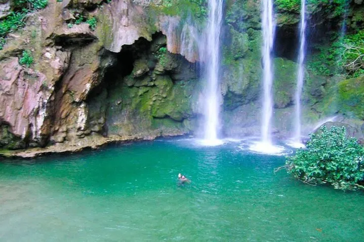A man swims in a pool beside a cascading waterfall, surrounded by lush greenery.