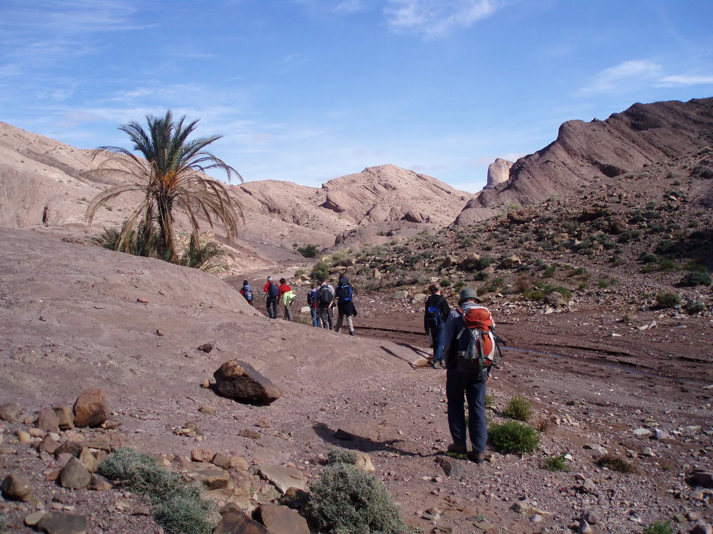 A group of people walking together across a vast, sandy desert under a clear blue sky.