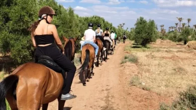 Horseback riding through the scenic landscapes of Morocco, showcasing riders against a backdrop of mountains and desert. Horseback Riding in the Palmeraie