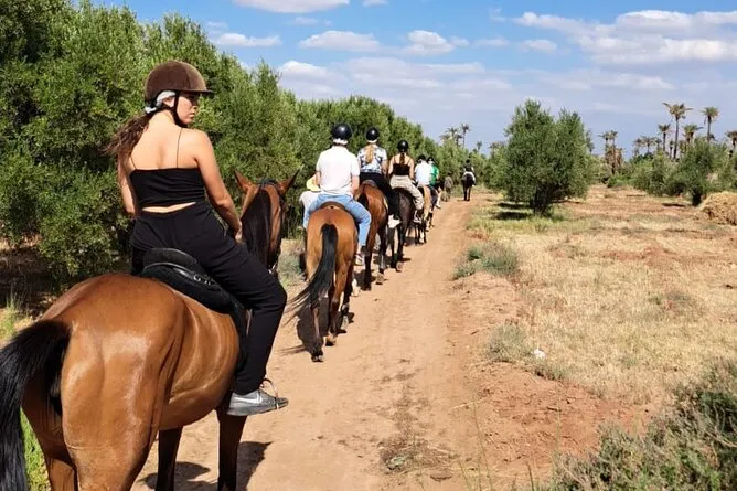 Horseback riding through the scenic landscapes of Morocco, showcasing riders against a backdrop of mountains and desert. Horseback Riding in the Palmeraie