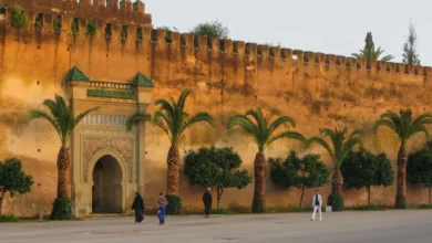 A wall featuring a door, surrounded by lush palm trees under a clear blue sky Moulay Idriss Day Tour