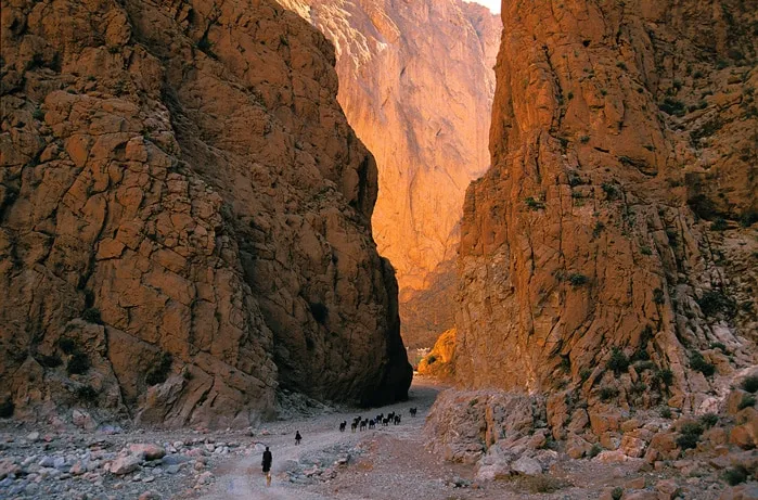 A group of people walking through a narrow canyon, surrounded by towering rock formations and natural sunlight. 6 Days Marrakech to Sahara: Merzouga & Todra Gorges
