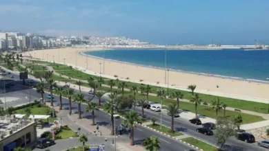 A vibrant beach scene with a city skyline, cars on the road, and palm trees swaying in the breeze.