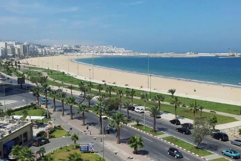 A vibrant beach scene with a city skyline, cars on the road, and palm trees swaying in the breeze. 