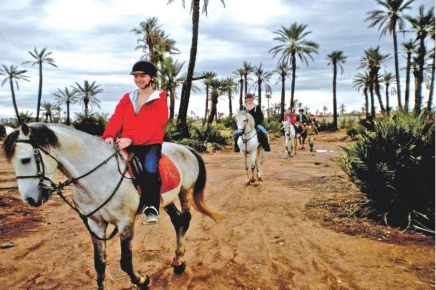 Two riders on horses traverse a desert landscape dotted with palm trees under a clear blue sky.Horseback Riding in the Palmeraie