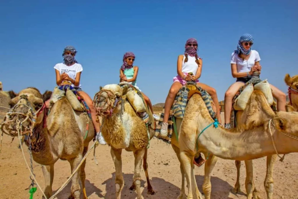 A man with skis stands atop a snow-covered mountain, overlooking a vast landscape of peaks and valleys. of the Paradise Valley and Camel Ride near Agadir