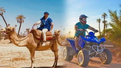 Two people riding four wheelers across a sandy desert landscape under a clear blue sky.