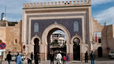 People walk through the entrance of a historic city gate, surrounded by stone walls and greenery.8 Days Tour from Fes